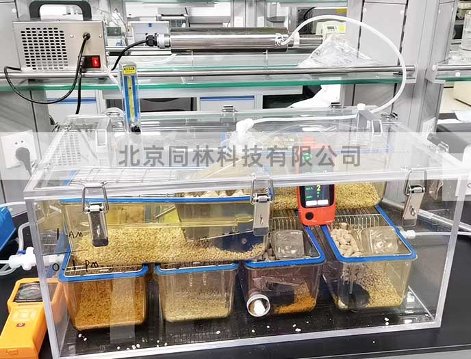 臭氧暴露染毒装置现场